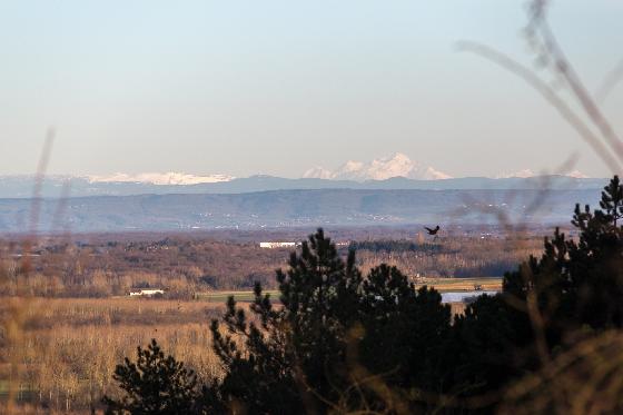 objectif 70-200 SIGMA APO  2.8 II EX HSM 