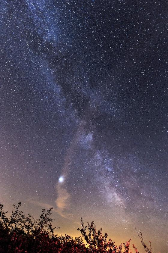 Sigma Canon 20 F1,4 DG HSM ART