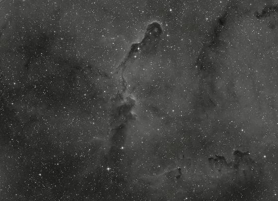 Monture harmonique Pegasus Astro NYX-101 neuve