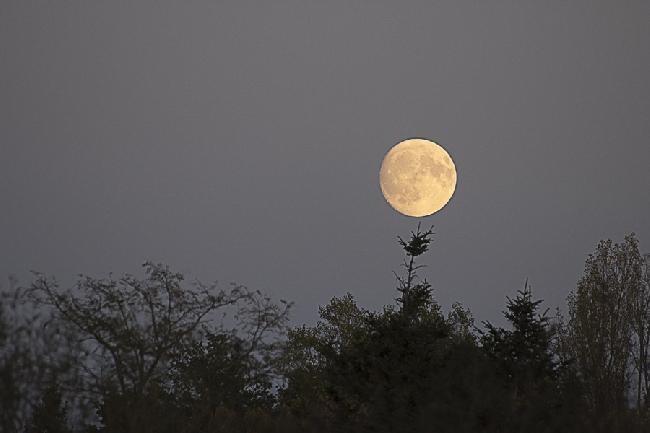 Pleine lune du 02-11-2017