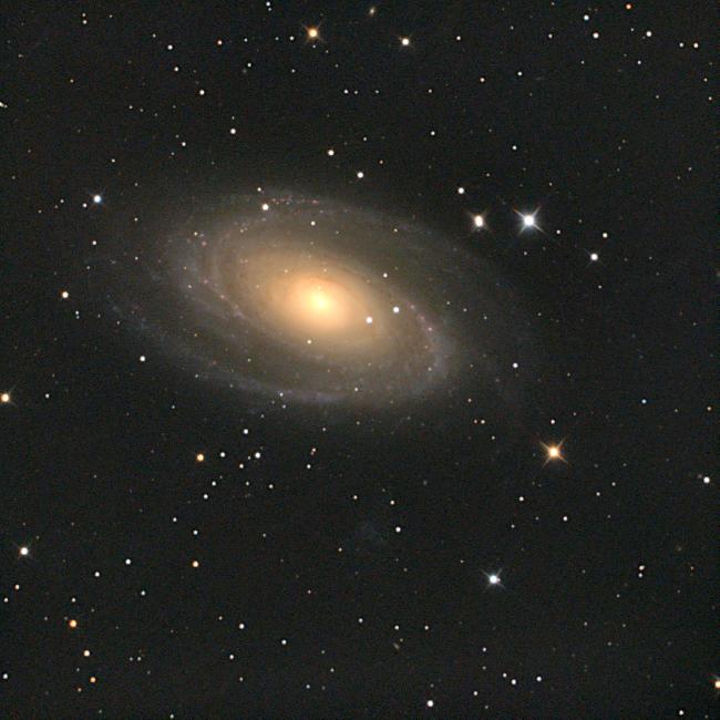M81
