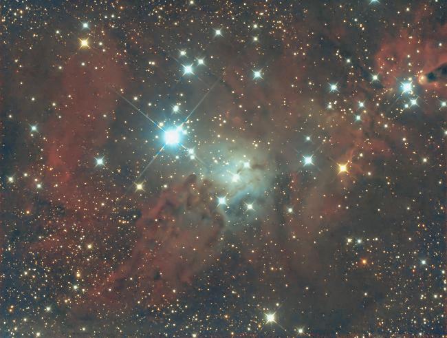 NGC 2264 arbre de Noël