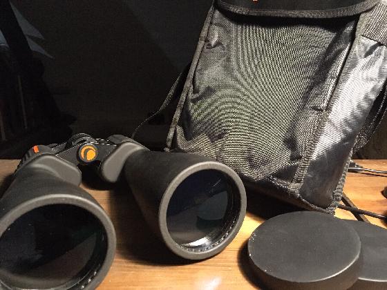 Paire de jumelles Celestron Skymaster 15x70