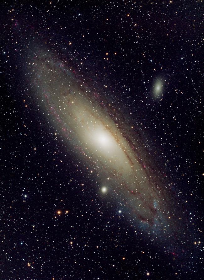 M31