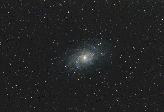 M33