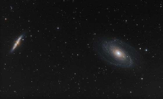 M81