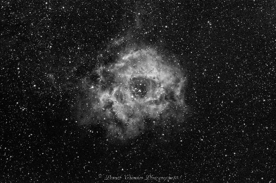 Monture, camera, RAF, filtres etc...