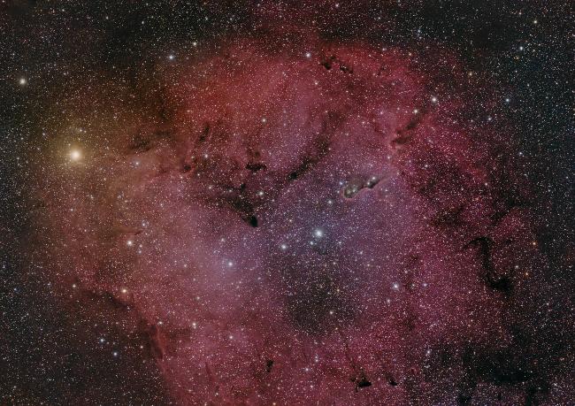 IC1396