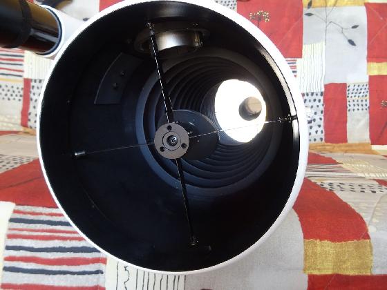 Newton 200/800 carbone