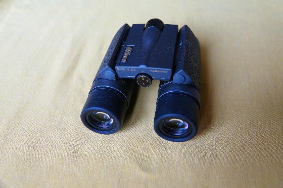 Jumelles de poche Nikon 8x20HG L DCF Japan