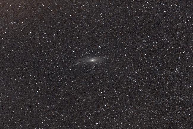 M31
