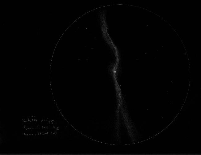 Petites Dentelles du Cygne T200