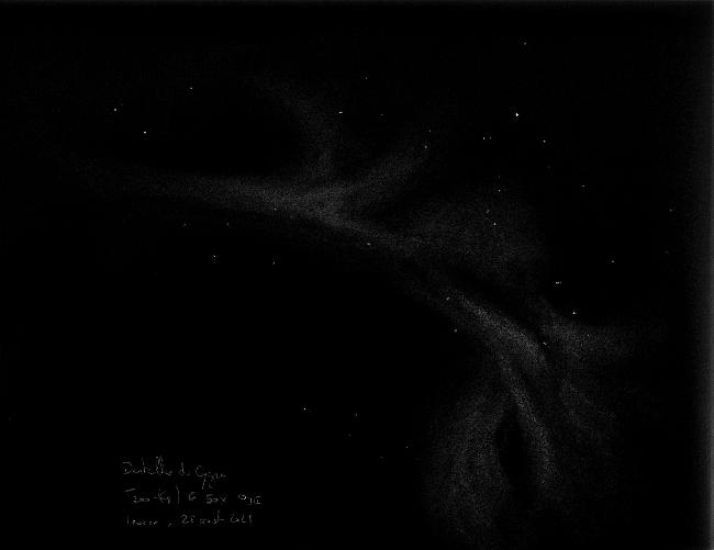 Grandes dentelles du Cygne T200