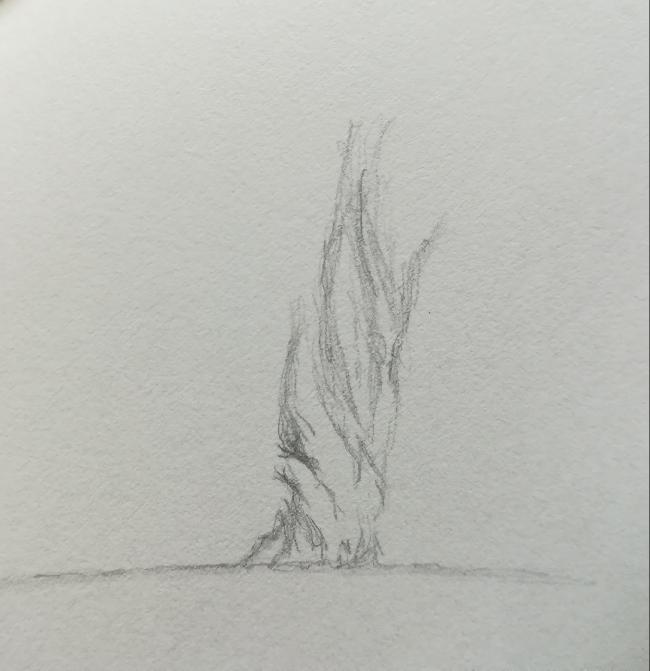 Soleil Ha 24 11 2019