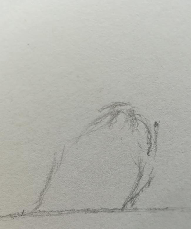 Soleil Ha 24 11 2019 boucle 