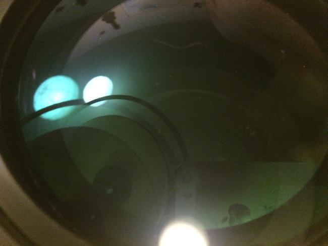 Lentille frontale SW 80ED PRO (3)