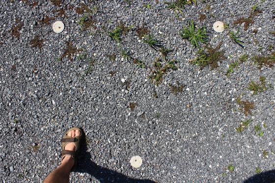 Plots béton pour trépied