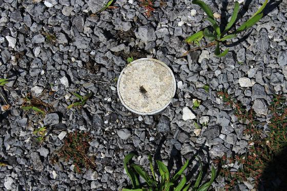 Plots béton pour trépied