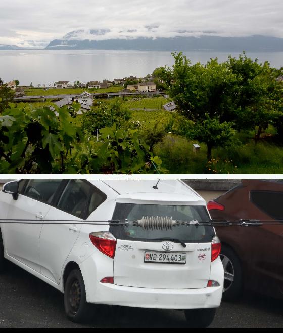 Nikon Coolpix P 1100