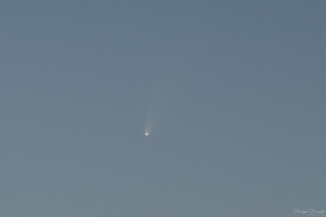 Comète C/2020 F3 (NEOWISE)