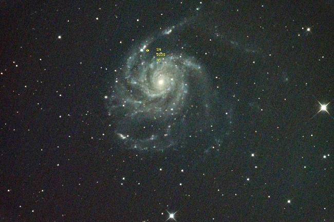 M101