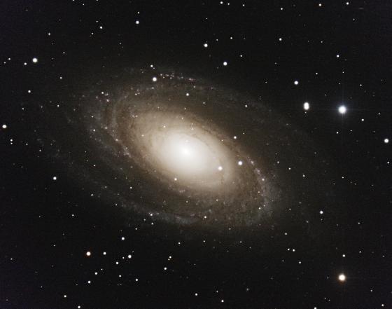m81