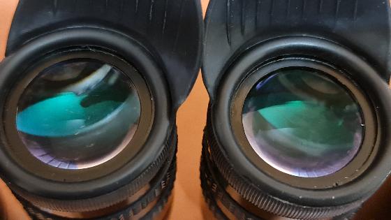 Paire d'oculaires Denkmeier D14