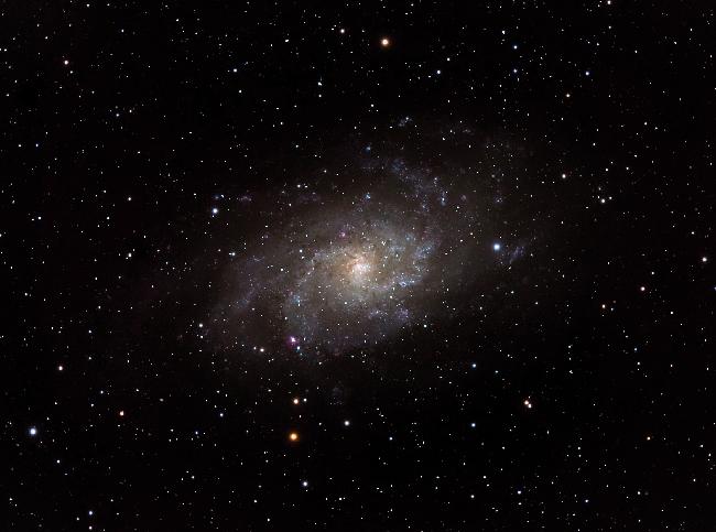 M33