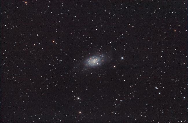 NGC2403