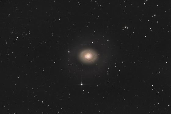 CCD Sigma 1603ME  Capteur KAF1603ME