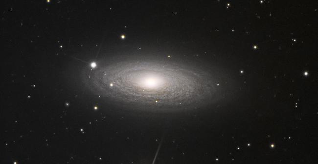 ngc2841