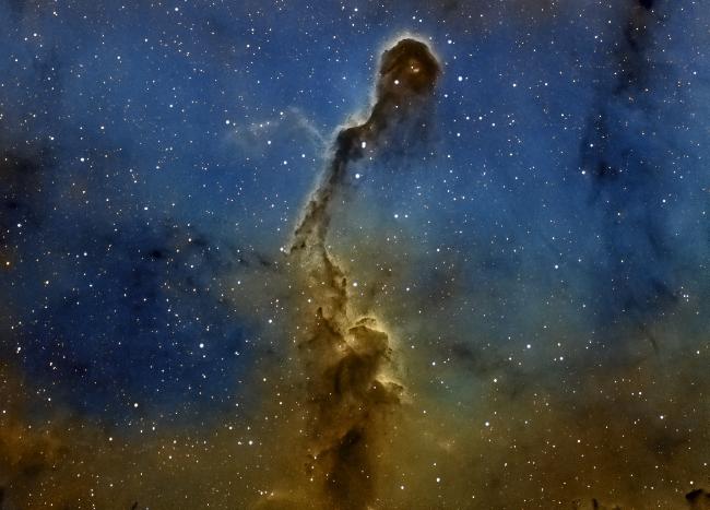 Trompe de l'élephant Revisitée