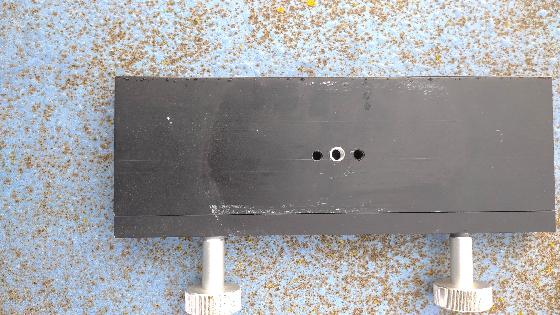 queue d'aronde ORION