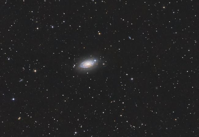 M63
