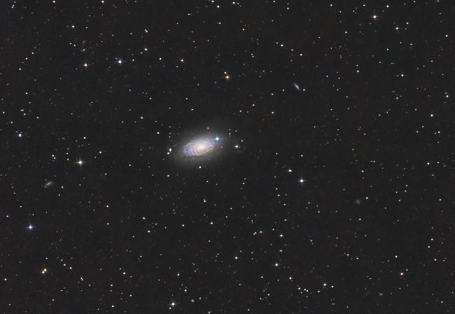 M63