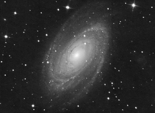 M81 QHY5L-II