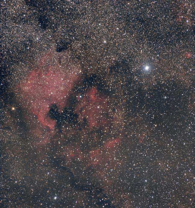 NGC7000 & Deneb