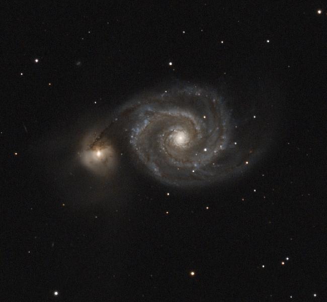 M51