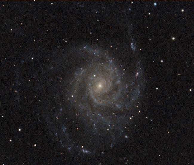 M101