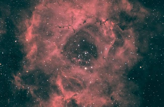 La Rosette (NGC2237)