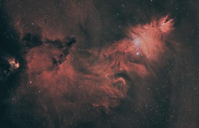 La nébuleuse du Cône (NGC2264) et ses environs