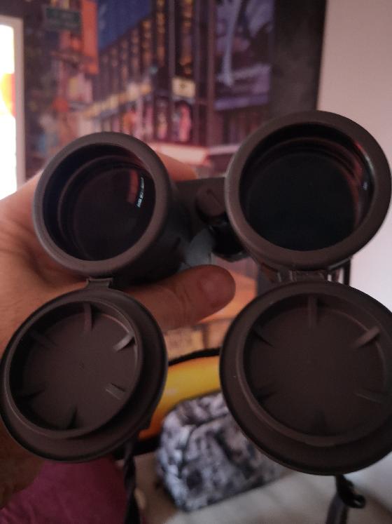 jumelles Steiner 10x42