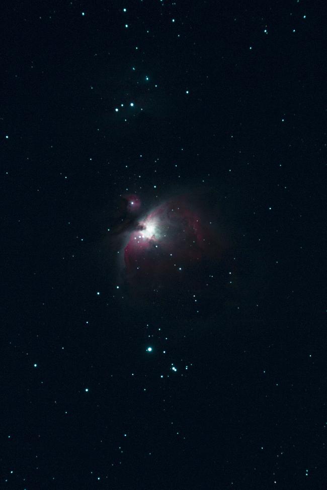 M42 brut