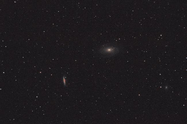 M81 82 test