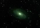 M81