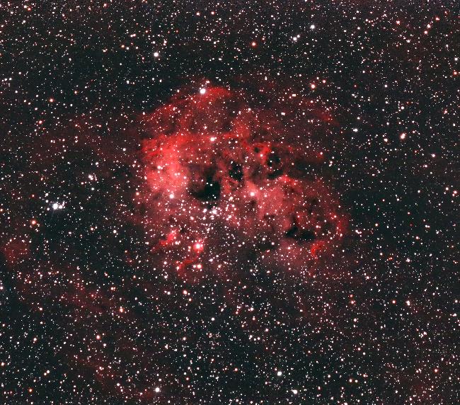 IC 410. Nébuleuse du têtard.