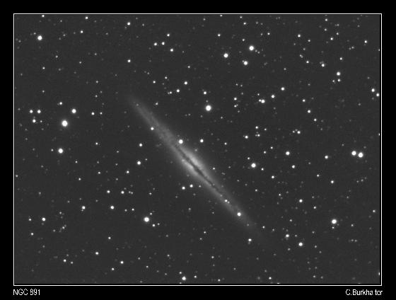 NGC891