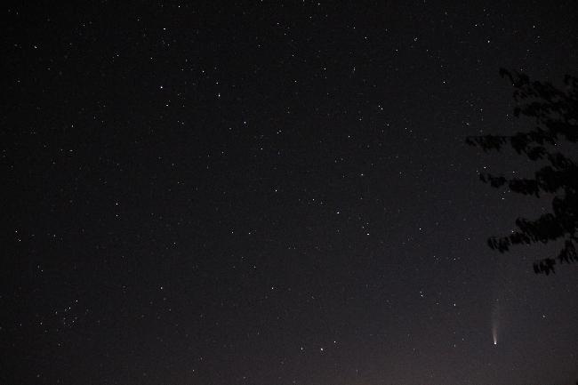 Neowise et la grande ourse