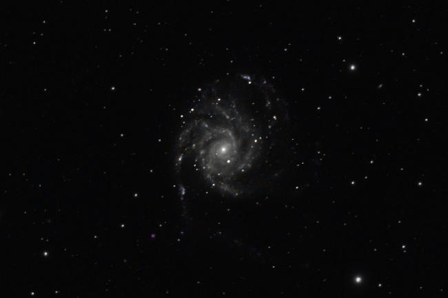 M101