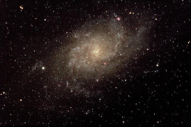 M33
